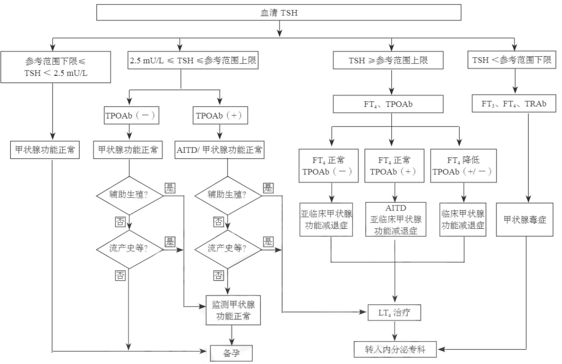 孕前血清TSH篩查、診斷和管理流程