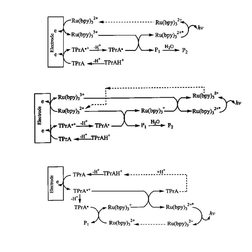 還原氧化型ECL的三種反應(yīng)過程